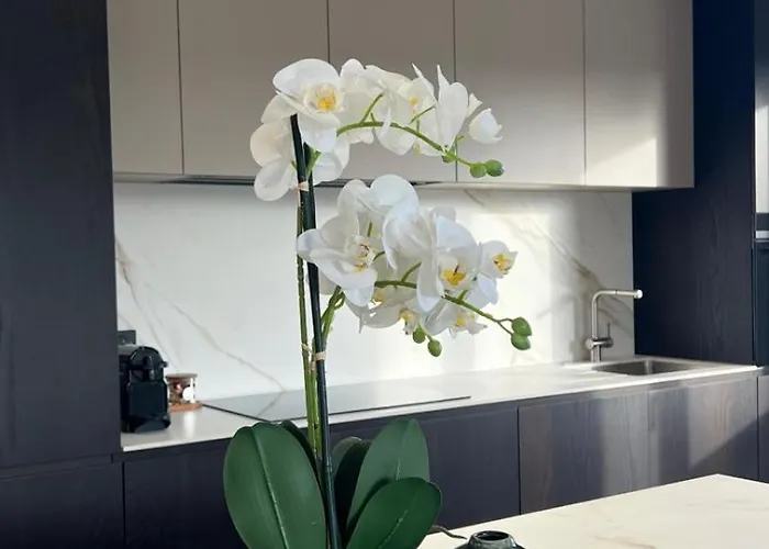 Domaine D'arca - Aragon 12 - 4 Pers Appartement Porto-Vecchio (Corsica)